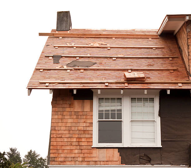 Affordable Siding Repair and Maintenance Services in Pinewood Estates, TX